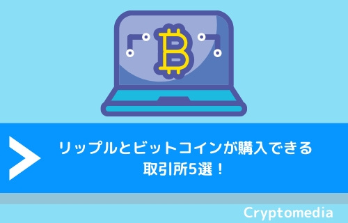 リップルとビットコインが購入できる取引所5選！